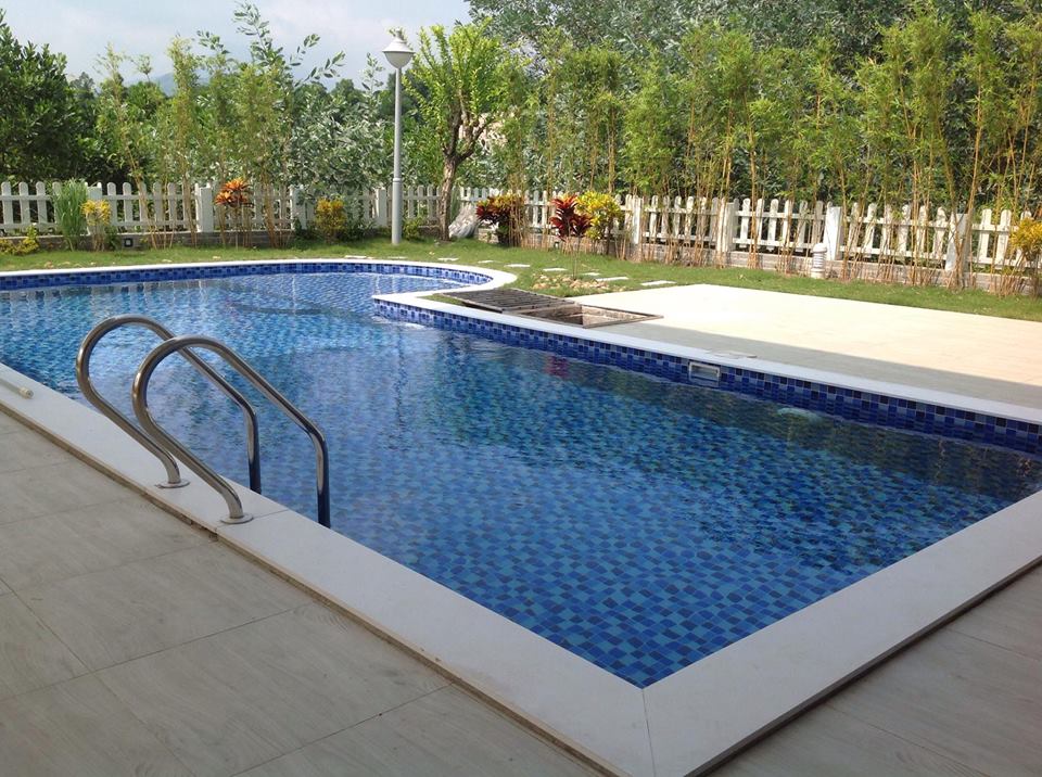 12919280 1718149741797901 691187663 n 1