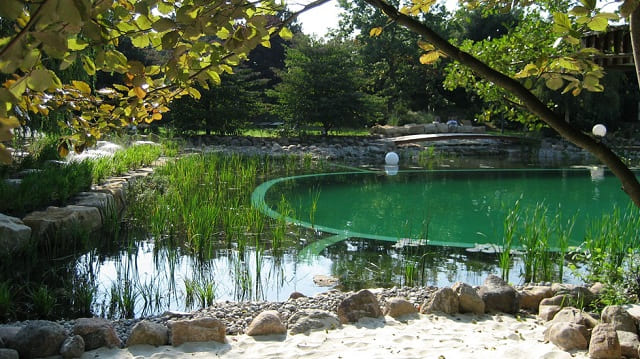 Bể bơi sinh thái mang đến vẻ đẹp thiên nhiên