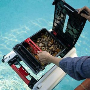 Robot dọn bề mặt bể bơi Instapark Betta 6 51qmn3naacl. ac 46c65c25 01f4 4478 982f 2fc1f9e62c81