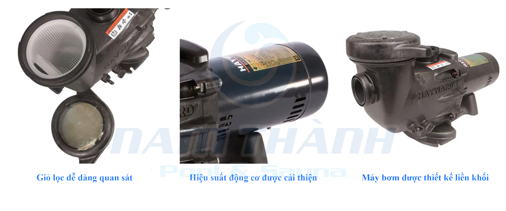 Máy bơm tuần hoàn nước hồ bơi Hayward W3SP2307X10 MaxFlo XL 6 Máy bơm tuần hoàn nước hồ bơi Hayward W3SP2307X10 MaxFlo XL