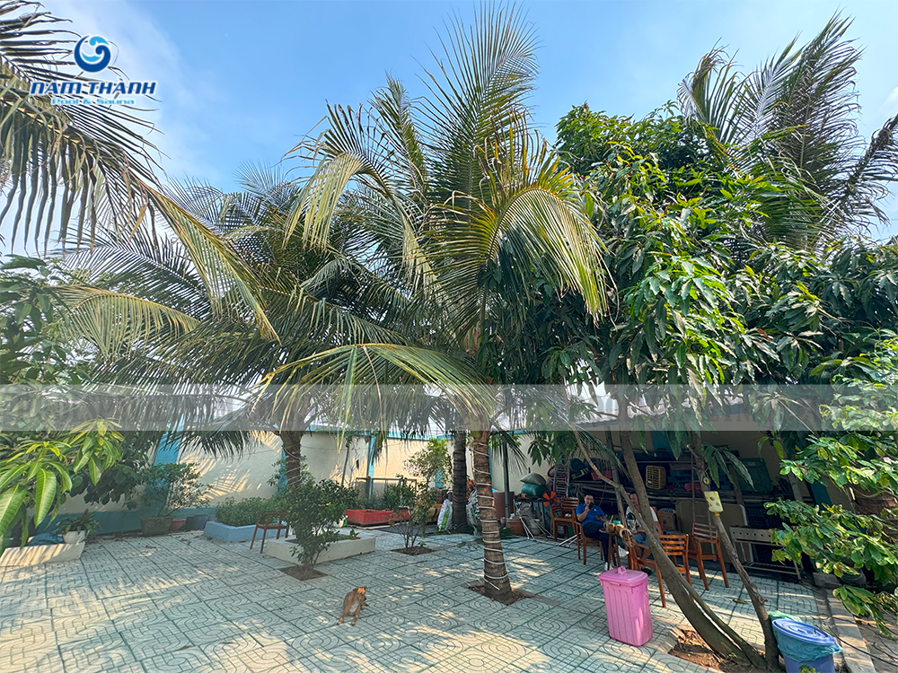 Dự án bể bơi gia đình anh Chắc - Bình Chánh, TP. HCM 14 du an be boi gia dinh anh chac binh chanh tp hcm7