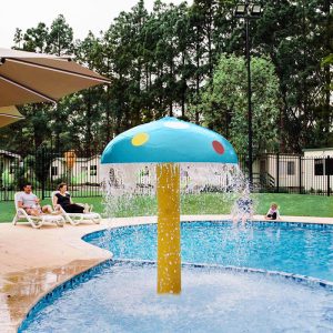 Cây nấm phun nước bể bơi