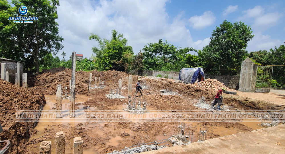 cap nhat tien do cong trinh va hoan thien be boi quy 4 nam 2024 19