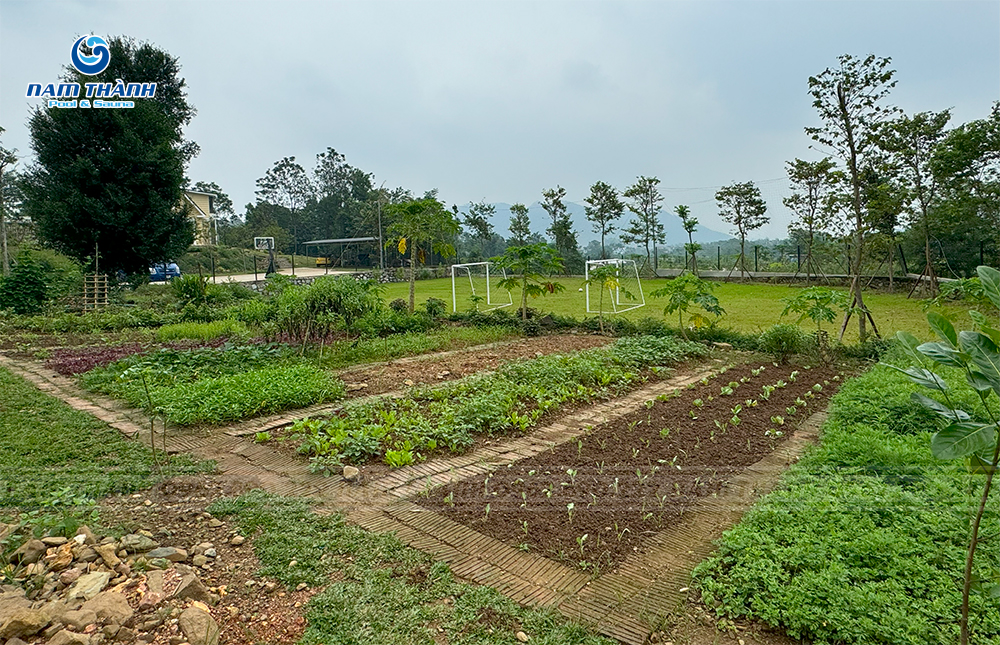 du an be boi gia dinh cho vo chong tien si toan hoc tai thach that ha noi 11